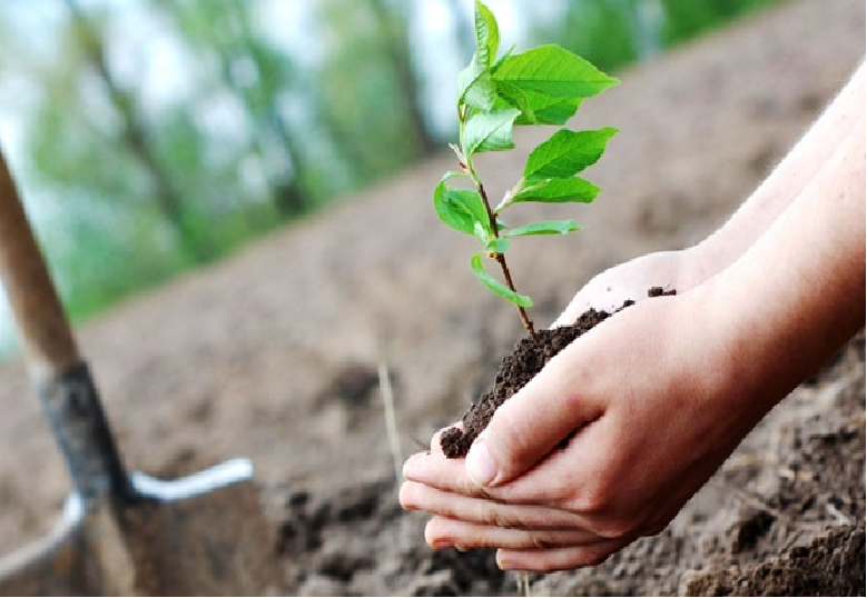 Environmental Protection