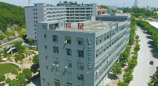 Quanzhou Insole Manufacturer