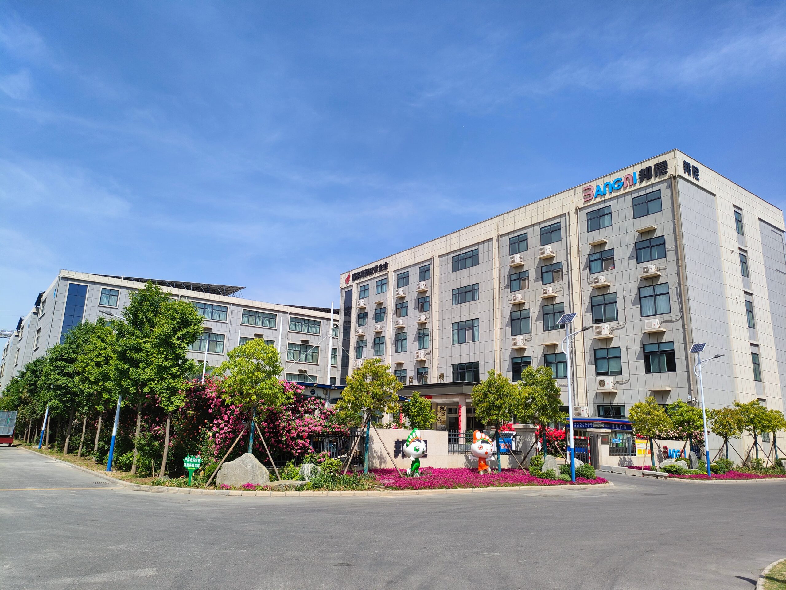 bangni insoles manufacturer